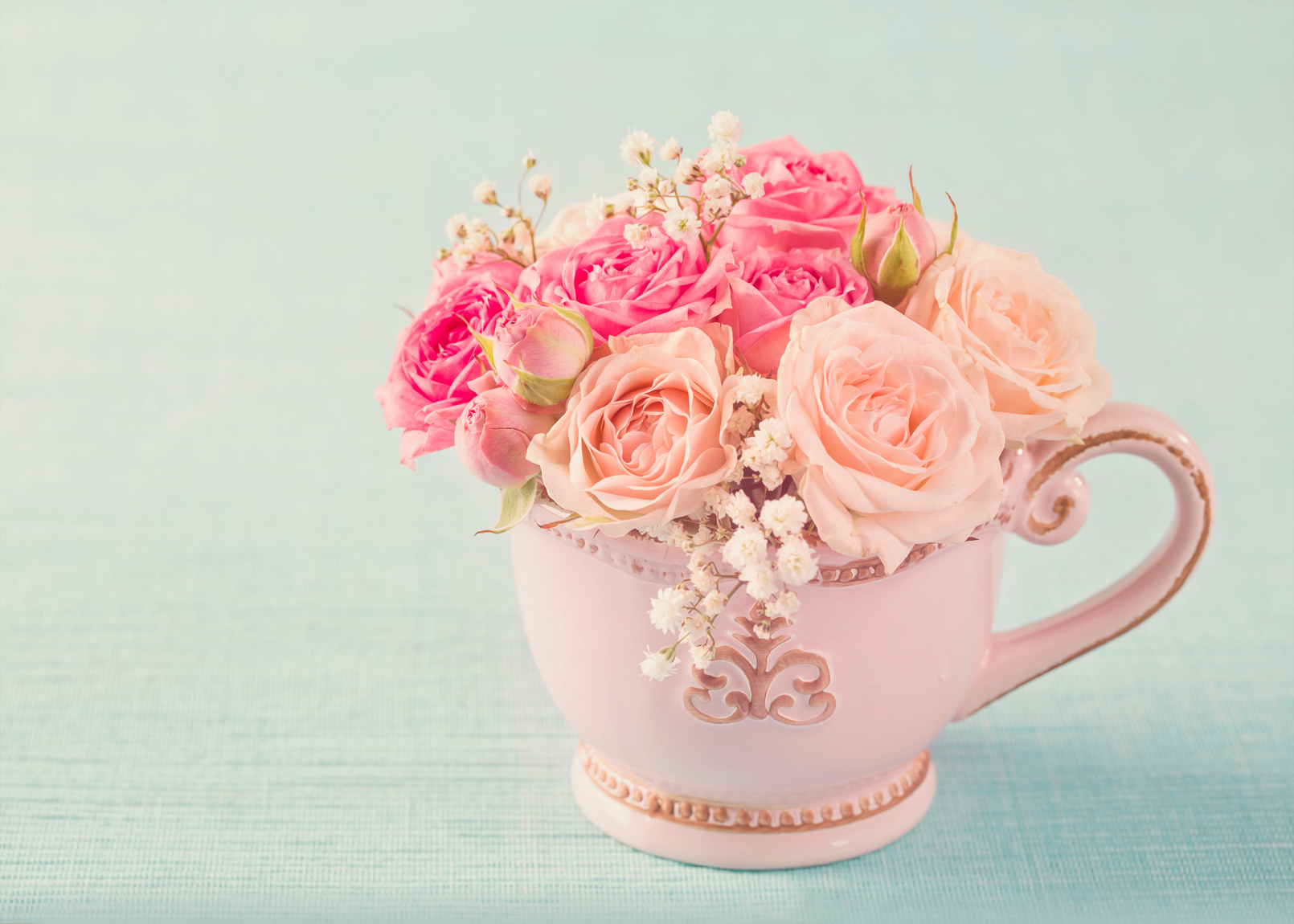 Pink roses in a teacup